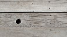 A bolt hole in a wooden floor.