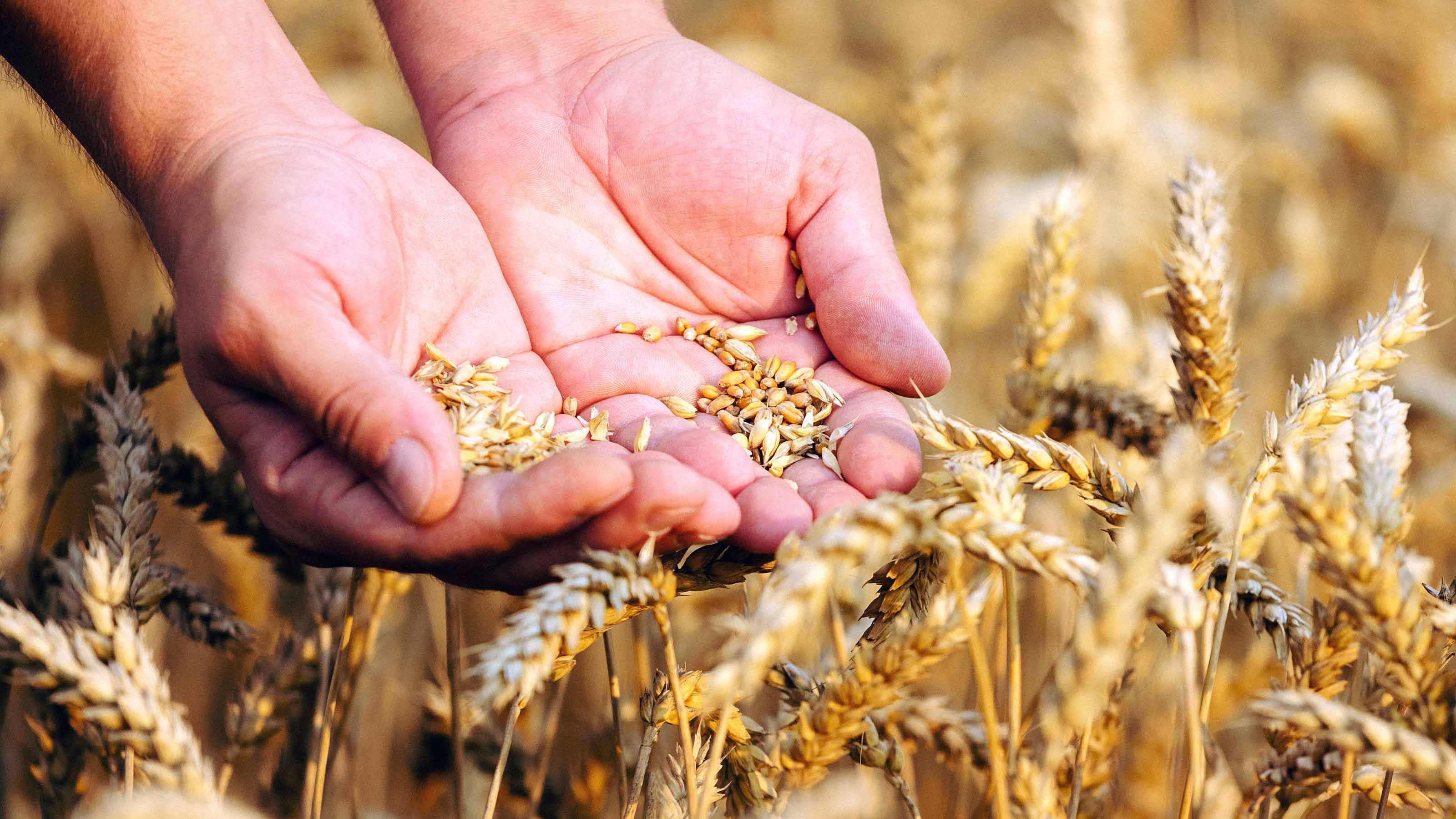 Archer-Daniels-Midland